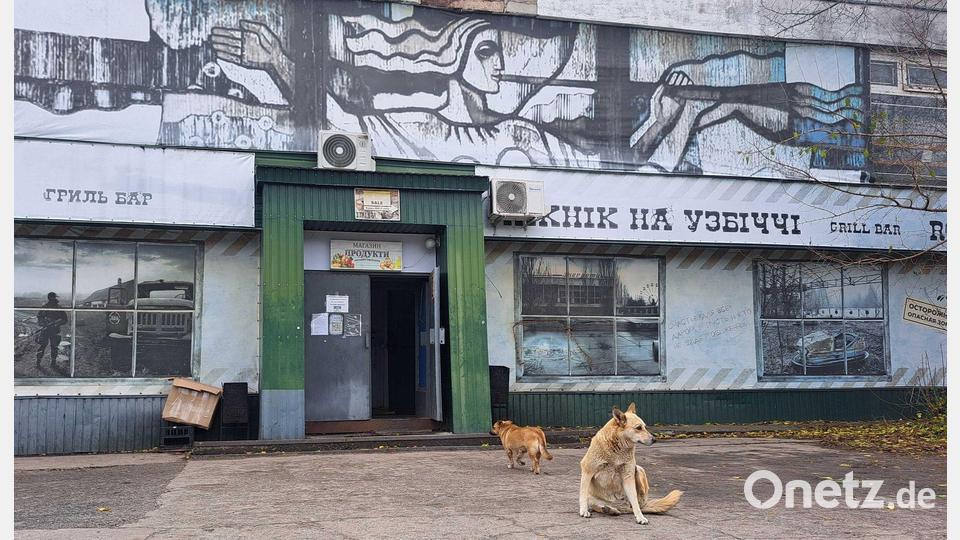 Tagelang berichteten internationale Medien über „blaue Hunde“ in Tschernobyl. Im radioaktiv belasteten Sperrgebiet bezeichnet man die Berichte als Unsinn. Bild: Andreas Stein/dpa