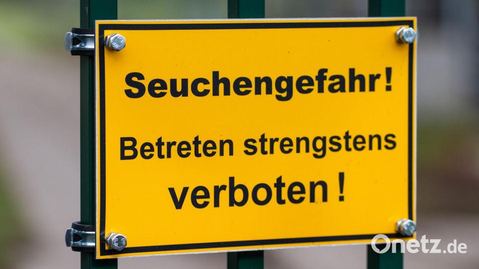 Die auch als Vogelgrippe bezeichnete Geflügelpest hat sich mittlerweile fast über ganz Deutschland ausgebreitet. (Archivbild) Bild: Christophe Gateau/dpa