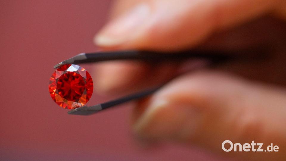 Laut Bestatterverband geht es vor allem darum, den Verstorbenen näher bei sich zu behalten. (Archivbild) Bild: Harald Tittel/dpa