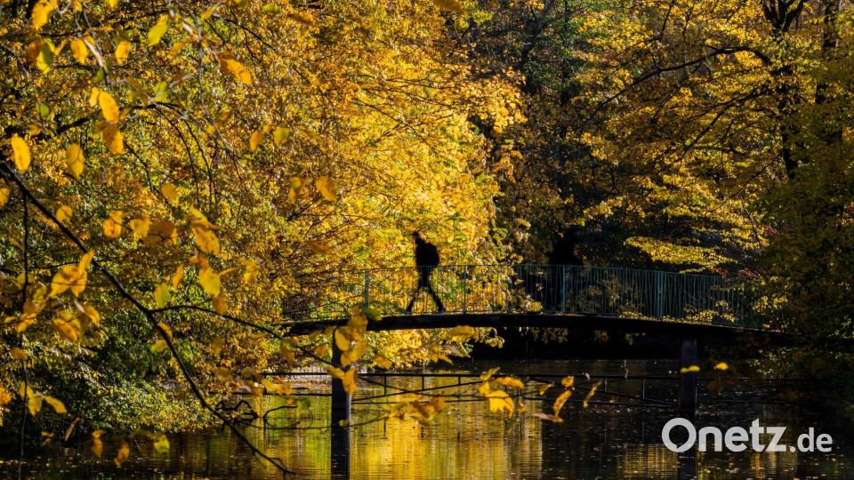 Goldener Morgen in Köln Bild: Rolf Vennenbernd/dpa