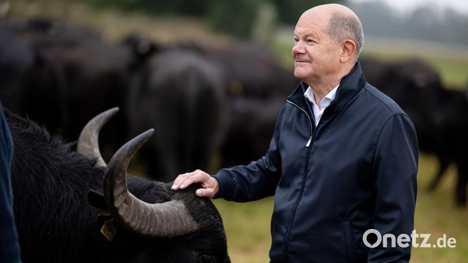 Hat als einfacher Abgeordneter nun mehr Zeit: Der frühere Bundeskanzler Olaf Scholz (SPD). (Archivbild) Bild: Fabian Sommer/dpa