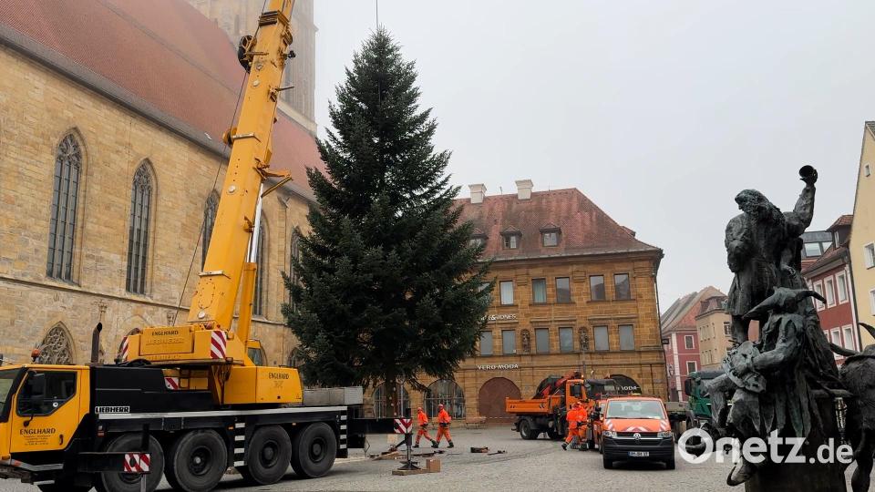 Im Morgennebel hievte ein Autokran den Weihnachtsbaum an seinen Platz auf dem Amberger Marktplatz. Bild: Heike Unger