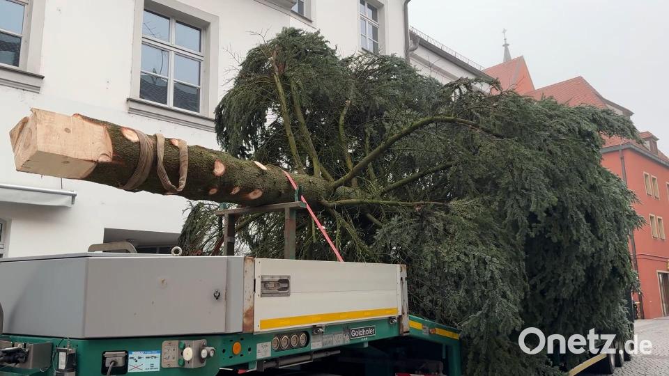 Geschafft! Der Baum hat die Engstelle passiert. Hier erkennt man gut das eckig vorgesägte untere Ende des Stamms: Es passt genau ins Baumloch im Marktplatzboden. Bild: Heike Unger