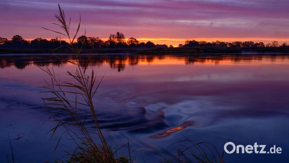 Der herbstliche Sonnenaufgang spiegelt sich auf der Oder in Brandenburg. Bild: Patrick Pleul/dpa