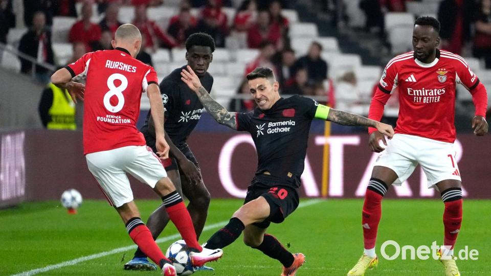 Alejandro Grimaldo (Mitte) lieferte sich ein umkämpftes Duell mit seinem Ex-Club Benfica. Bild: Ana Brigida/AP/dpa