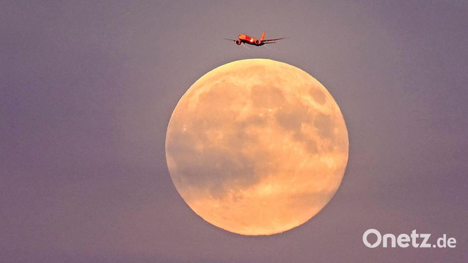 Der sogenannte Supermond ist der größte Vollmond des Jahres. Bild: Jennifer Brückner/dpa