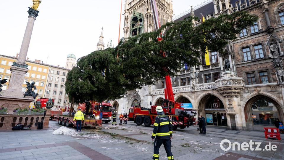 Nun müssen noch die Lichter ran. Bild: Lennart Preiss/dpa