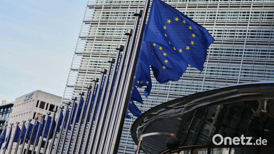 Die EU-Kommission will der Untersuchung Vorrang einräumen (Archivbild) Bild: Virginia Mayo/AP/dpa