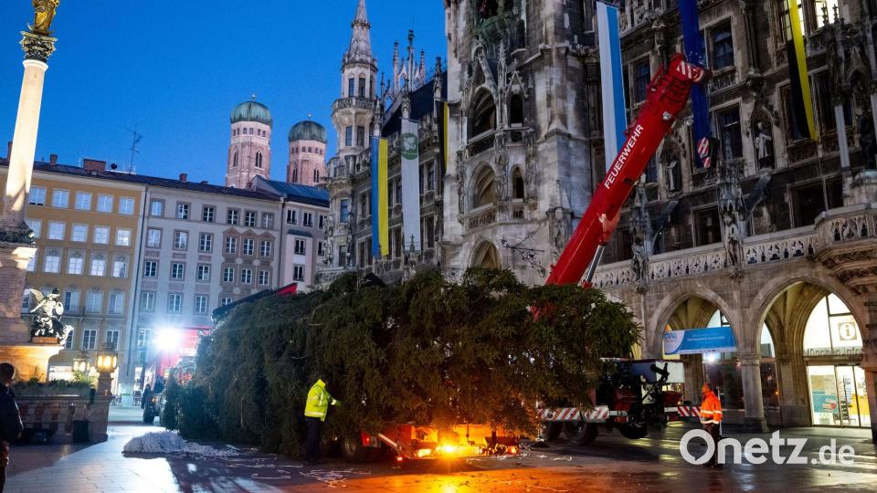 Bald ist Weihnachten. Bild: Lennart Preiss/dpa