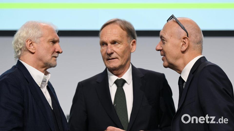 DFB und DFL arbeiten mittlerweile vertrauensvoll zusammen. Bild: Arne Dedert/dpa