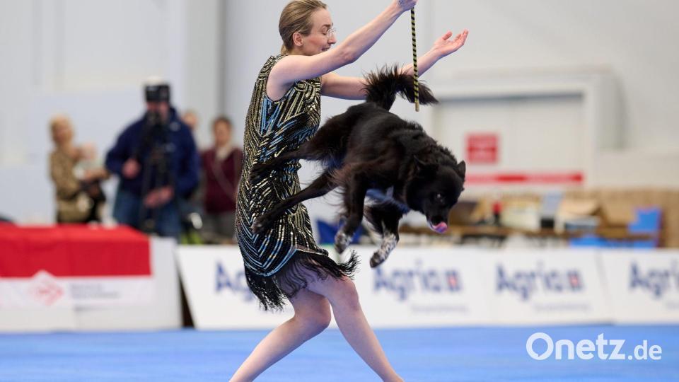 Es kann auch akrobatisch zugehen. Bild: Bernd Thissen/dpa