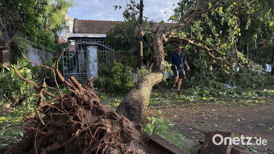 Es kam in Vietnam zu Stromausfällen, Bäume wurden entwurzelt, zudem wurden Flüge gestrichen. Bild: Tuong Quan/Vietnam News Agency/AP/dpa