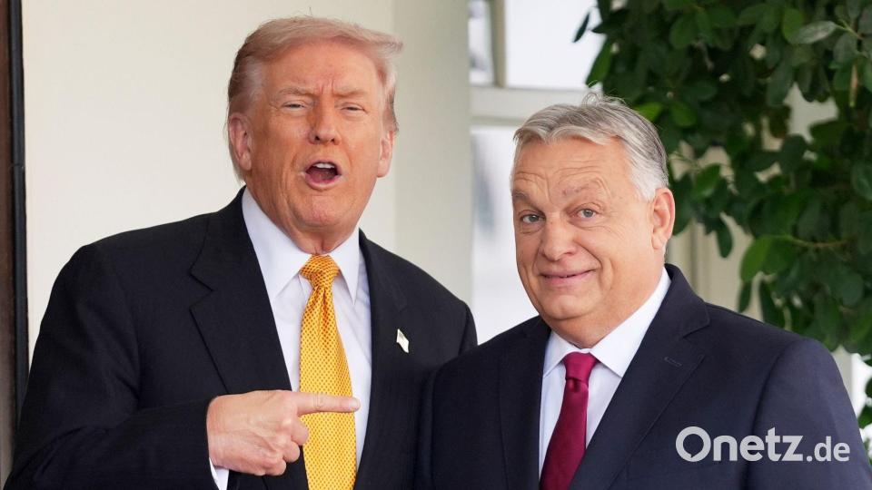 Trump und Orban sind in vielen Fragen einer Meinung. Bild: Evan Vucci/AP/dpa