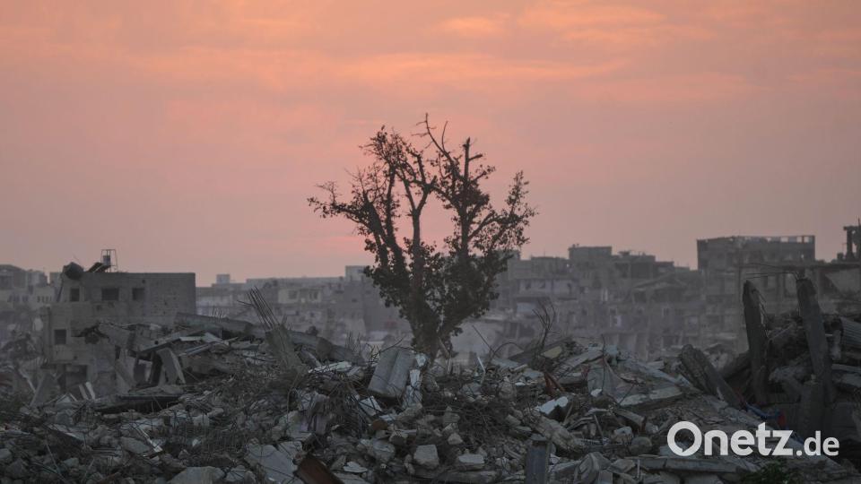 Ein Baum steht inmitten der Ruinen zerstörter Gebäude in Chan Junis im Gazastreifen. Bild: Abdel Kareem Hana/AP/dpa