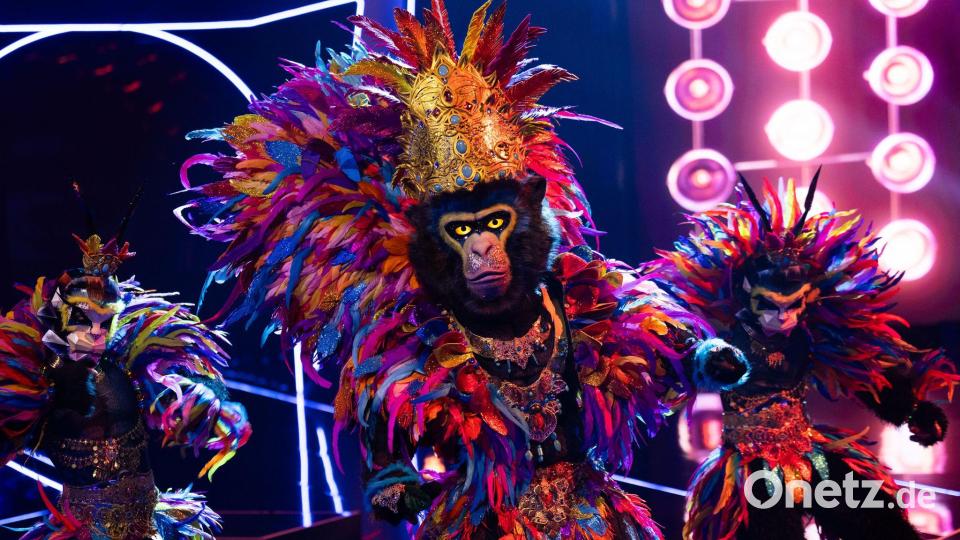 Der Affe - genannt King - gehört sicherlich zu den Favoriten der neuen Staffel. Bild: Rolf Vennenbernd/dpa