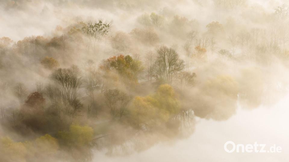 Herbstlicher Nebel am Morgen Bild: Julian Stratenschulte/dpa