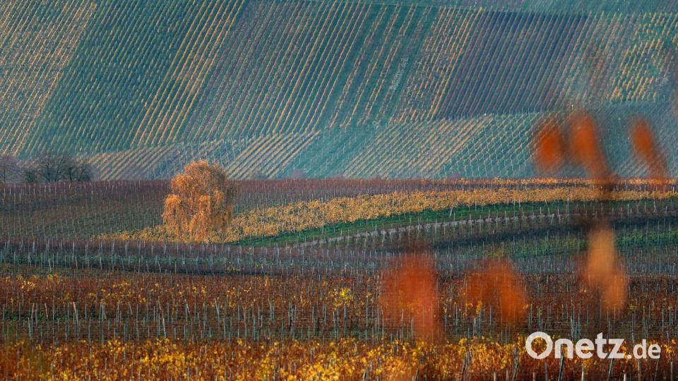 Der Donnerstag dürfte vielerorts sonnig werden. (Archivbild) Bild: Karl-Josef Hildenbrand/dpa