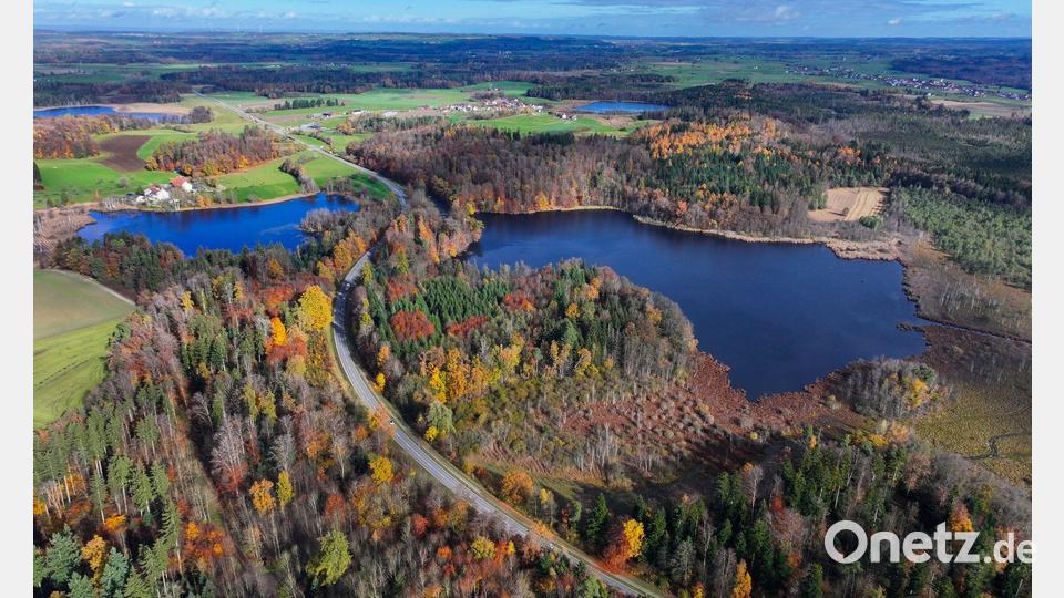 Hier sollte ein neues Schutzgebiet entstehen, das nun gestoppt wurde. Bild: Felix Kästle/dpa