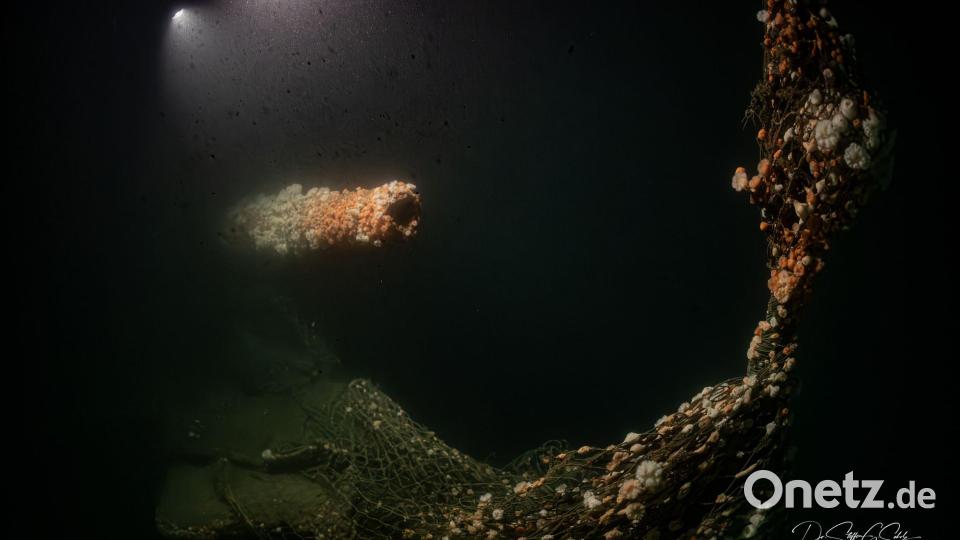 Die Tauchgänge fanden nach Angaben des Teams in großer Tiefe und unter herausfordernden Bedingungen statt. Bild: Dr. Steffen G. Scholz/ProjectXplore /dpa