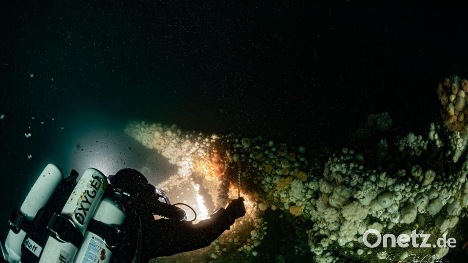 Beim Untergang am 11. März 1915 kamen fast 200 Seeleute ums Leben. Bild: Dr. Steffen G. Scholz/ProjectXplore /dpa