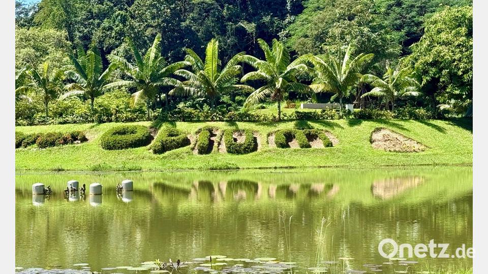 Einst war der Name Goldenes Dreieck ein Synonym für Opiumhandel. Bild: Carola Frentzen/dpa