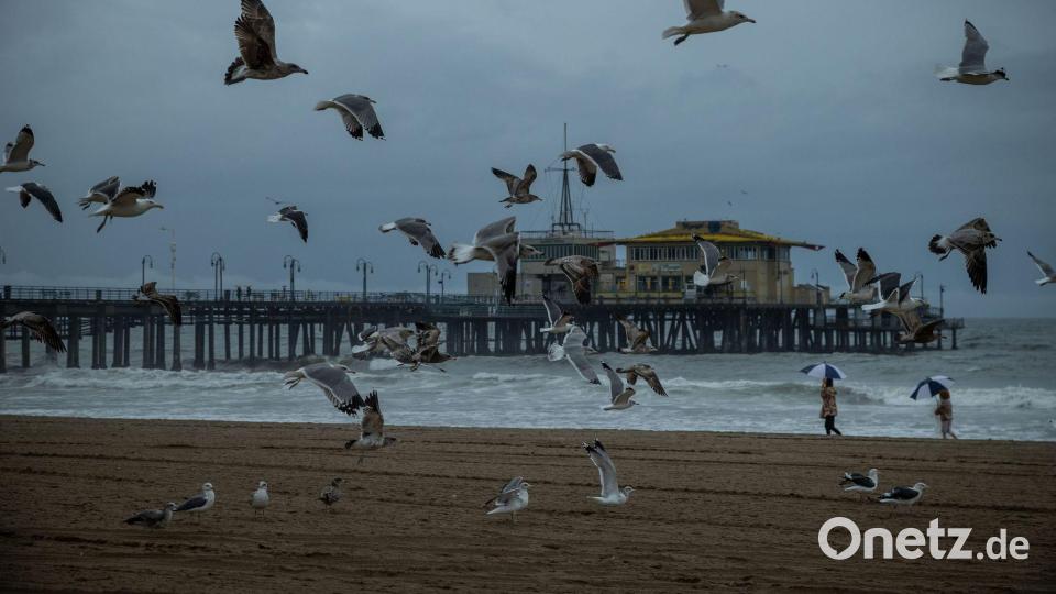 Möwen fliegen neben dem Santa Monica Pier nach heftigen Regenfällen in Kalifornien. Bild: Ethan Swope/AP/dpa