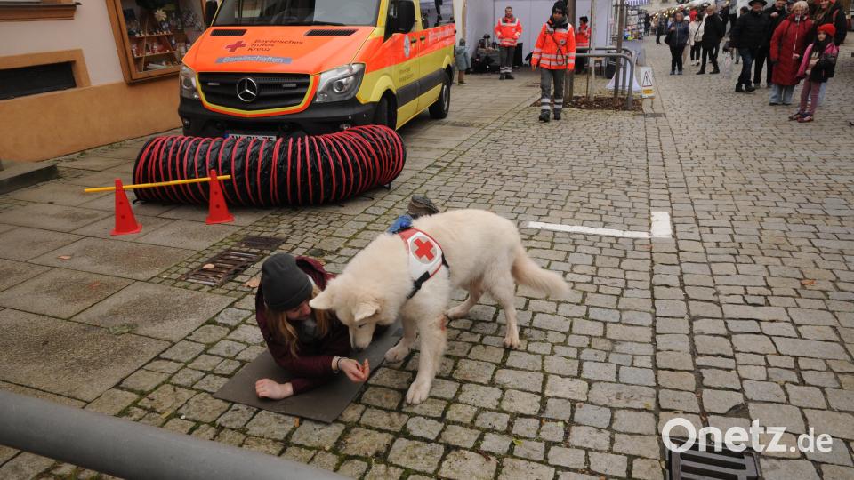 Die Rettungshunde demonstrierten ihre Fähigkeiten mitten auf der Straße. Bild: ge