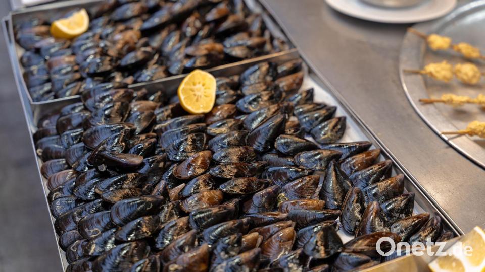 Muscheln sind in der Türkei oft mit Reis gefüllt. Bild: Ahmed Deeb/dpa