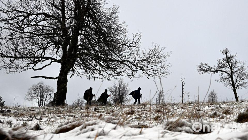 Schnee im Sauerland Bild: Federico Gambarini/dpa