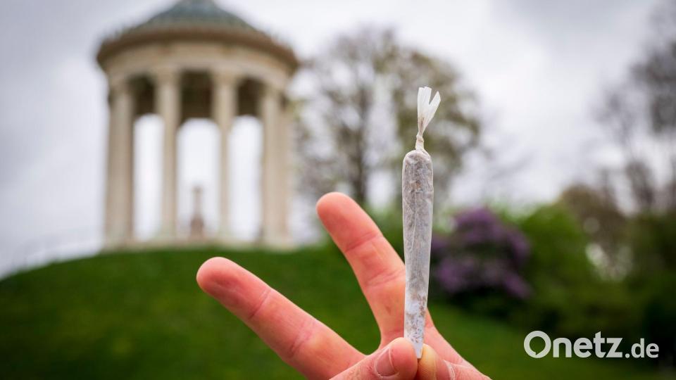 Kiffen verboten? Darüber muss der Verwaltungsgerichtshof entscheiden. (Symbolfoto) Bild: Peter Kneffel/dpa