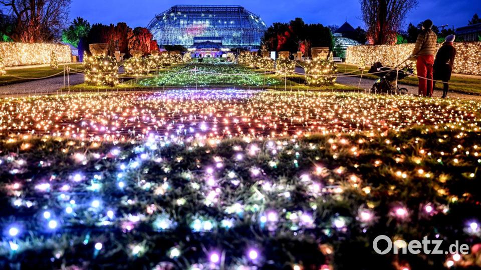 Es leuchtet wieder - Christmas Garden Berlin Bild: Britta Pedersen/dpa