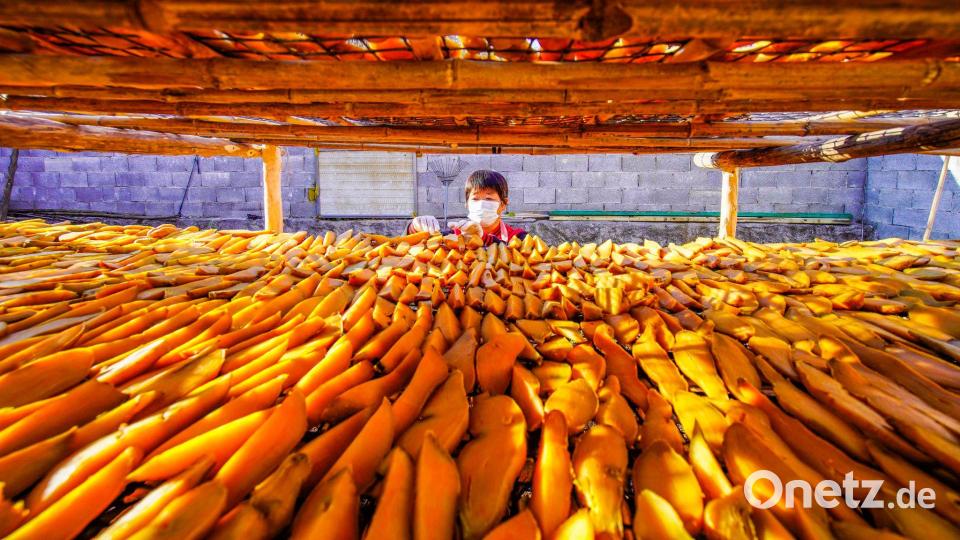 Ein Bauer trocknet Süßkartoffeln auf einem Hof in der nordchinesischen Provinz Hebei. Bild: Liu Mancang/XinHua/dpa