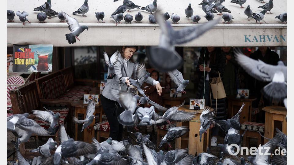 Eine Frau füttert Tauben in Sarajevo. Bild: Armin Durgut/AP/dpa