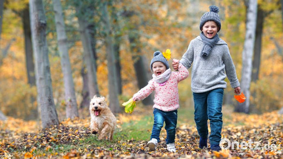 Dort könnt ihr auch zum Wackelstein wandern. Bild: Jenny Sturm - stock.adobe.com