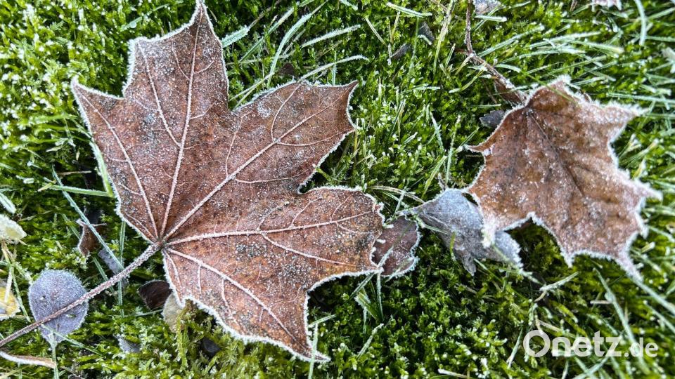 Vom Kälterekord ist das Wetter in Deutschland noch weit entfernt. Bild: Britta Pedersen/dpa