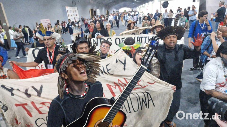 In der finalen Phase der Klimakonferenz machen Aktivisten noch einmal Druck. Bild: Larissa Schwedes/dpa