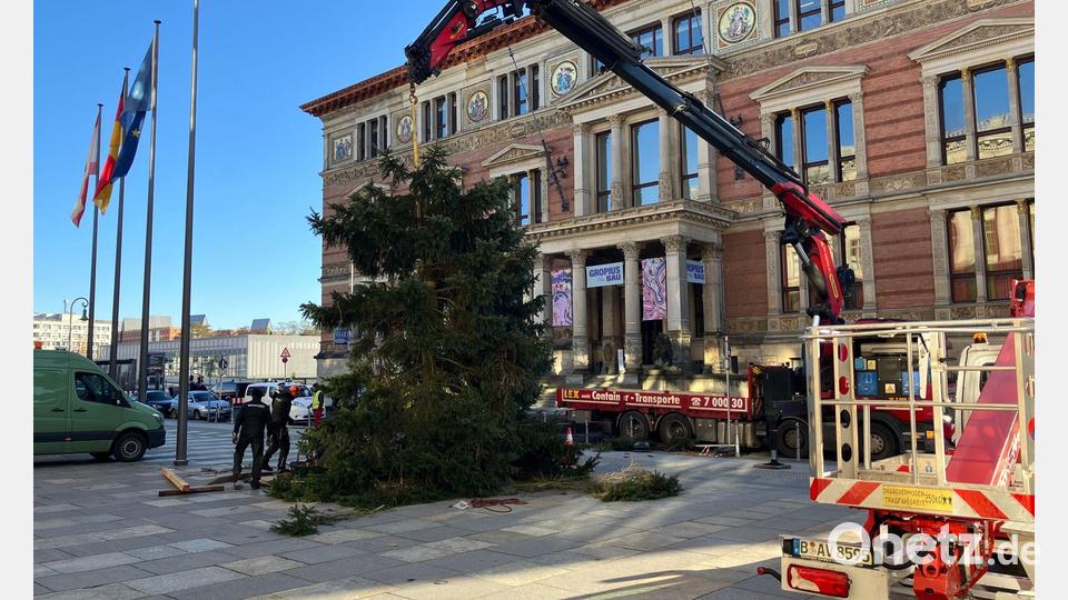 Pannen mit Weihnachtsbäumen sind in Berlin keine Seltenheit. Bild: Stefan Kruse/-/dpa