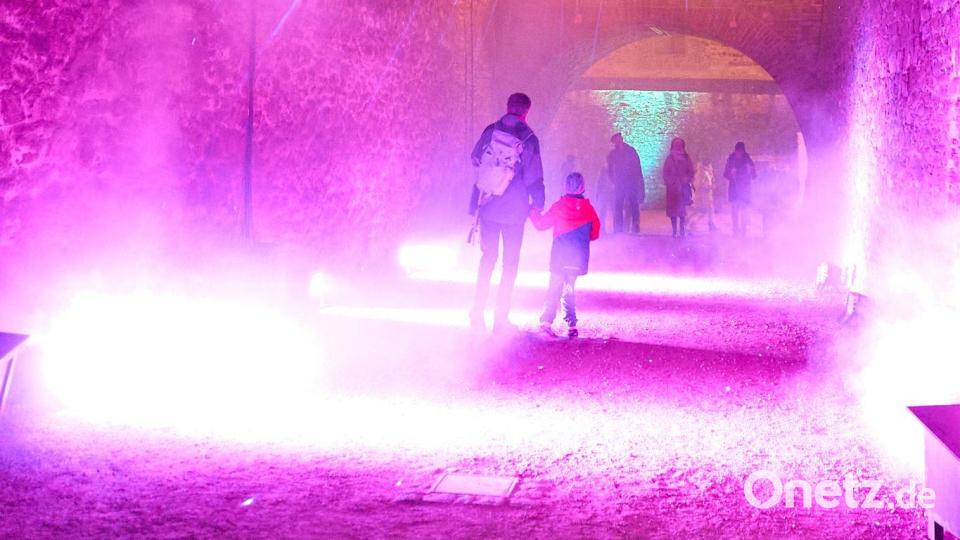 Die Festung Ehrenbreitstein, hoch über dem Rhein bei Koblenz, erstrahlt im Lichterzauber vom „Christmas Garden“. Bild: Thomas Frey/dpa