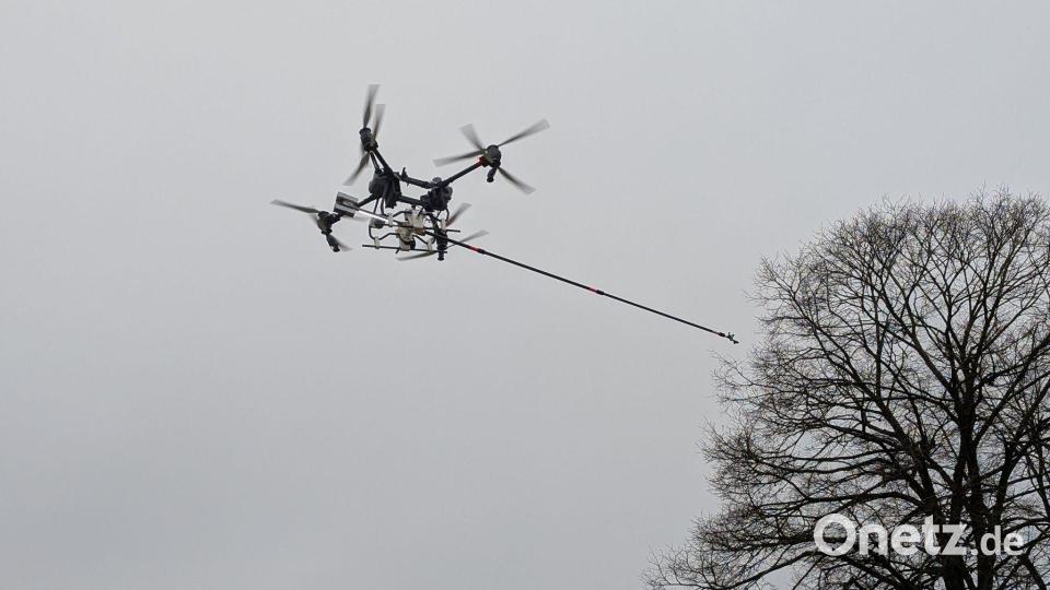 Der Kampf gegen den Kormoran kostet hunderttausende Euro. (Archivbild) Bild: -/Weber Agrar Robotik GmbH via Agrarministerium Baden-Württemberg /dpa