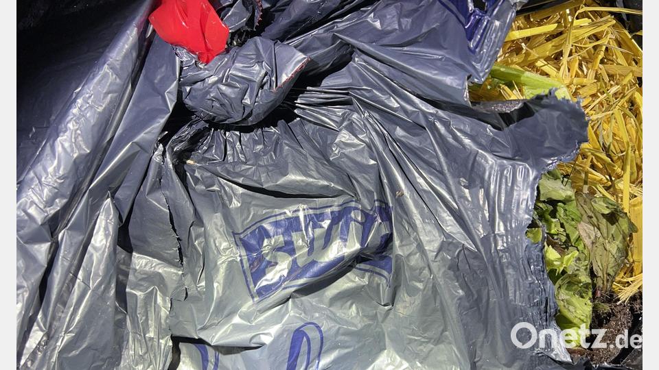 Ein bislang unbekannter Täter hat bei Stulln Gartenabfälle illegal entsorgt. Bild: Polizei Nabburg