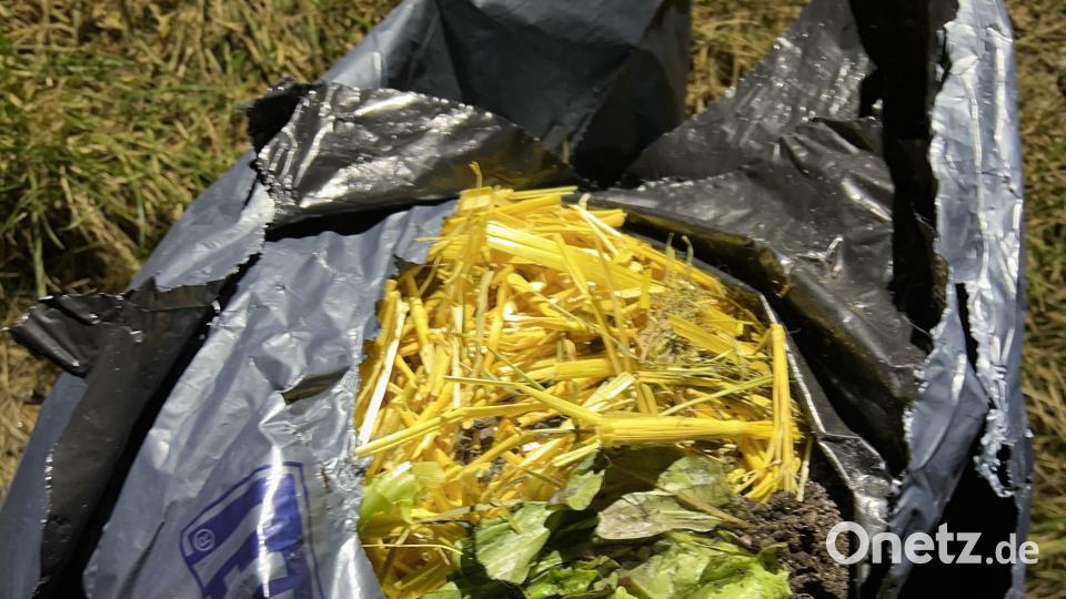 Ein bislang unbekannter Täter hat bei Stulln Gartenabfälle illegal entsorgt. Bild: Polizei Nabburg