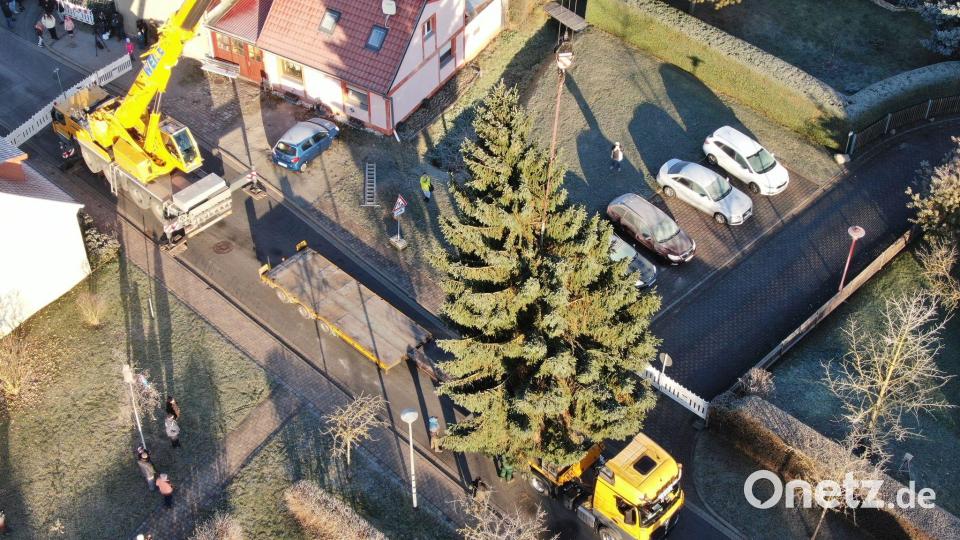 Weihnachtsbaum fürs Brandenburger Tor: Fichte per Kran auf LKW verladen in Sömmerda Bild: Tobias Junghannß/dpa