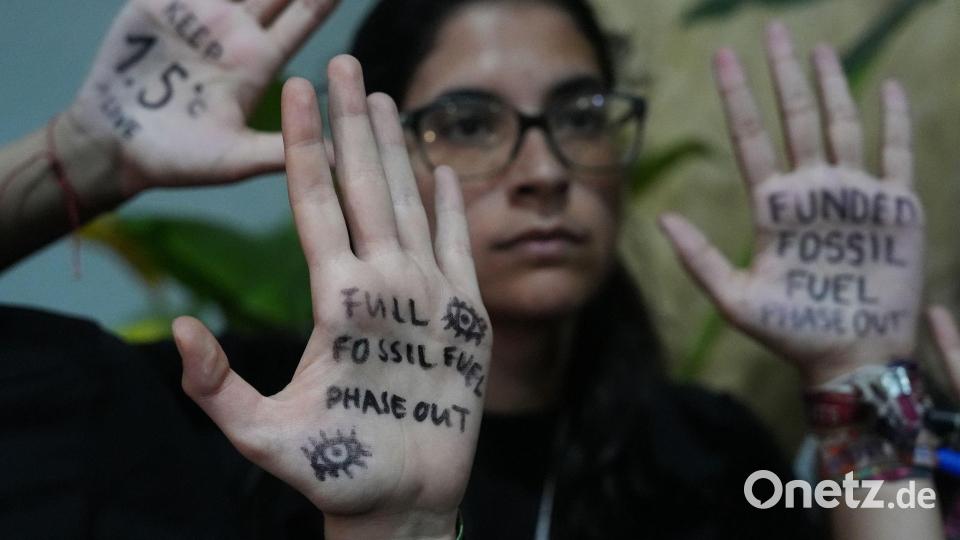 Auch Klimaaktivisten fordern ein Aus für fossile Energieträger. Bild: Joshua A. Bickel/AP/dpa