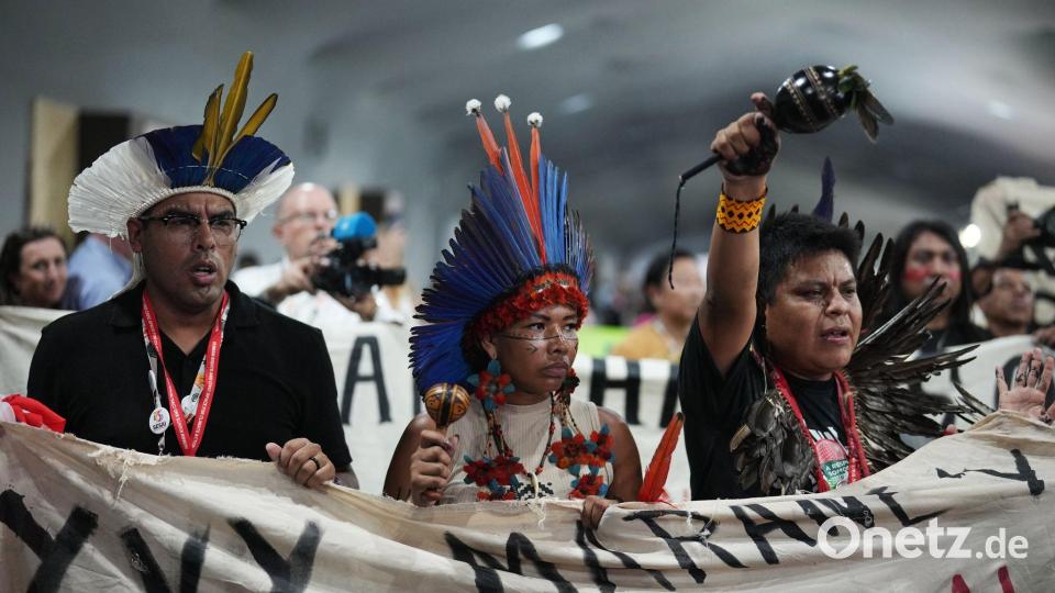 Auch Indigene demonstrierten auf dem Tagungsgelände. Bild: Andre Penner/AP/dpa