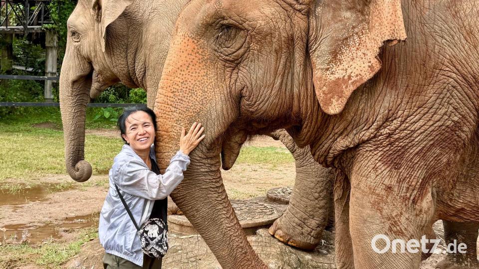 Schon mit 17 entschied Lek, ihr Leben den Elefanten zu widmen. Bild: Carola Frentzen/dpa