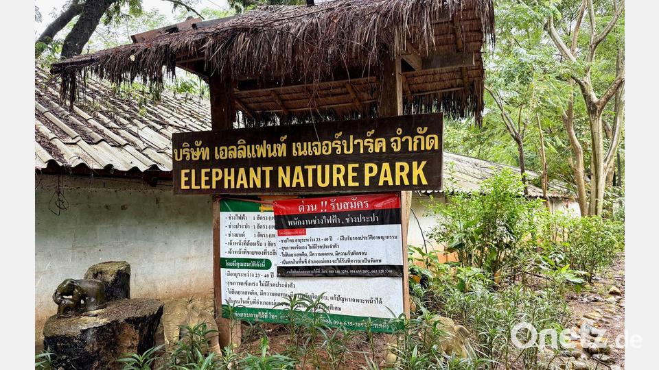 Der Elephant Nature Park liegt in der Nähe der bekannten Stadt Chiang Mai. Bild: Carola Frentzen/dpa