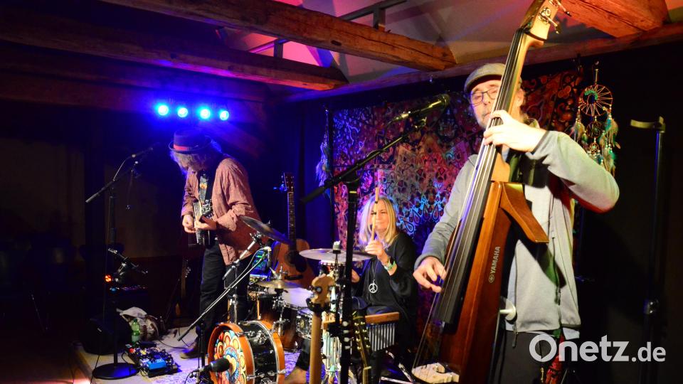 "Stefan Sommer & The Southside Ramblers" bei ihrem Auftritt in der Regionalbibliothek Weiden. Bild: Kunz