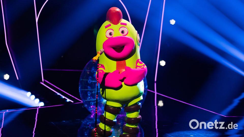 Wörner war als Hunde-Kauspielzeug verkleidet. (Archivbild) Bild: Rolf Vennenbernd/dpa