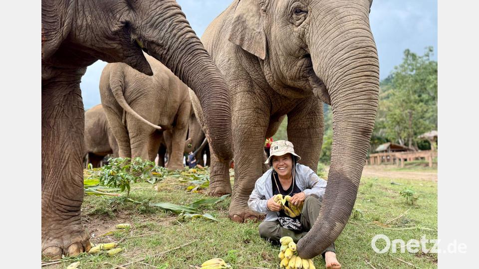 Saengduean „Lek“ Chailert verbringt täglich viel Zeit mit ihren Elefanten. Bild: Carola Frentzen/dpa