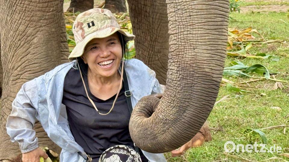 Das Lebenswerk der Elefantenflüsterin ist beeindruckend. Bild: Carola Frentzen/dpa